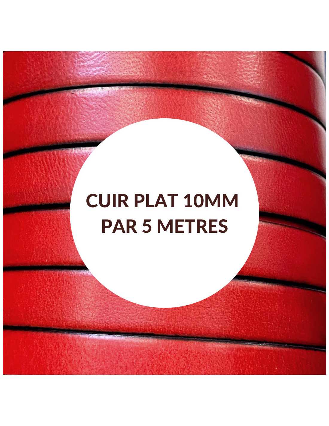 Lanière de cuir plat 10 mm Hobbyjoux